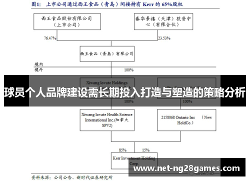 球员个人品牌建设需长期投入打造与塑造的策略分析