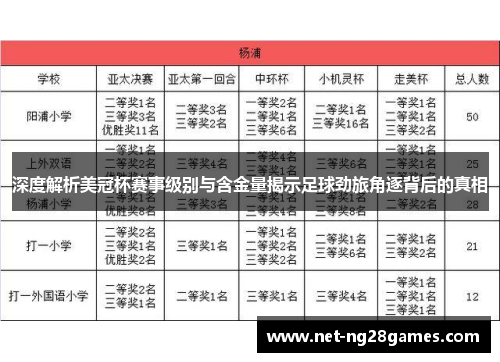 深度解析美冠杯赛事级别与含金量揭示足球劲旅角逐背后的真相