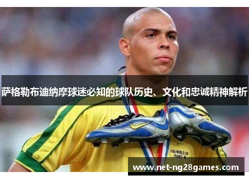 萨格勒布迪纳摩球迷必知的球队历史、文化和忠诚精神解析