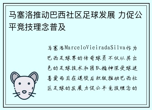 马塞洛推动巴西社区足球发展 力促公平竞技理念普及